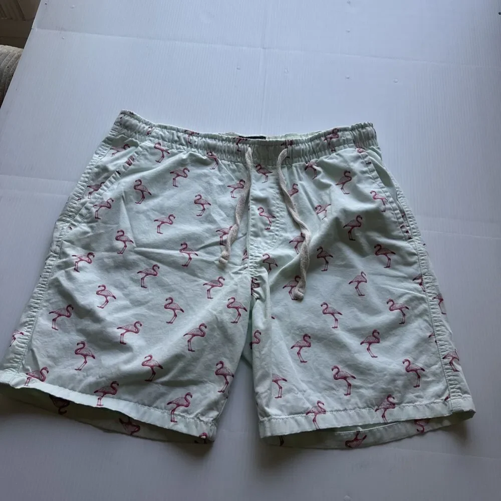 Massive Apparel Men’s Flamingo Print Shorts Size L Mint Green Drawstring Casual